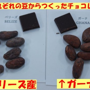 EAST ENDERS coffee & chocolate との交流授業②【生活文化コース】…(6/10・11)