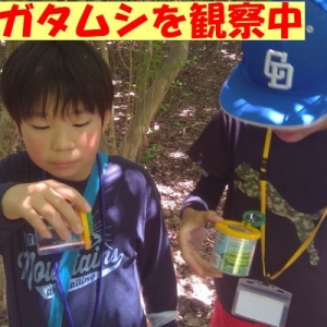 子どもたちの笑顔が輝く、「虫の自然楽校♪」…(7/26)